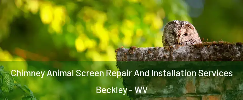  Chimney Animal Screen Repair And Installation Services Beckley - WV