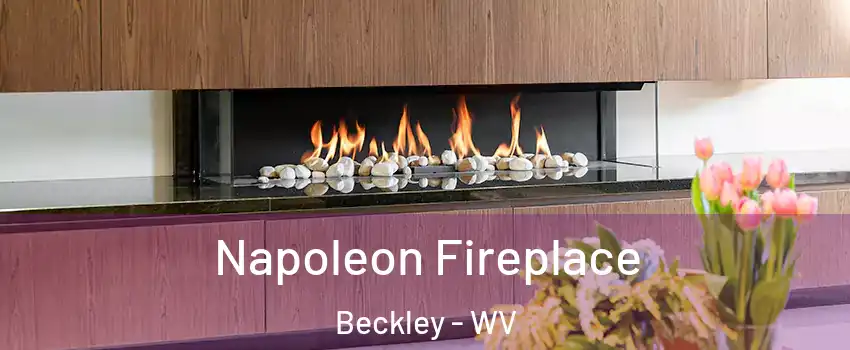  Napoleon Fireplace Beckley - WV